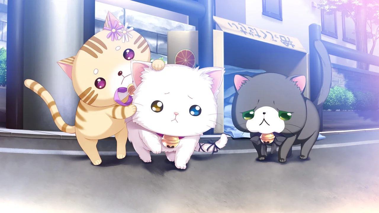 【PC/汉化】喵咪喵咪喵（こねこねこねこ） 图片 3