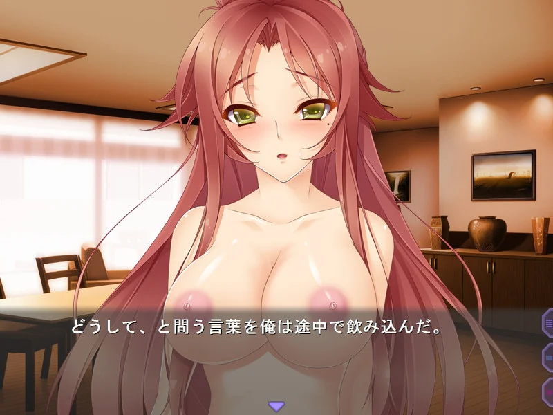 【PC/汉化/存档】孕味婚礼 ~正值好身材的怀孕期!?~(孕マリッジ ~食べごろボディは妊娠中!?~) 图片 5