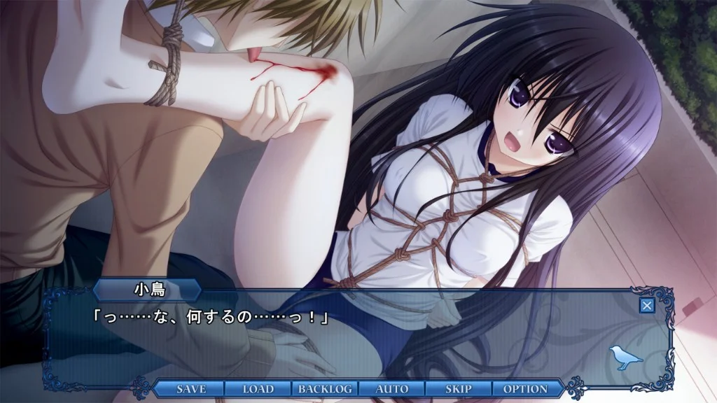 【PC+ONS/汉化】是谁杀了知更鸟(誰が殺したコマドリを) 图片 7