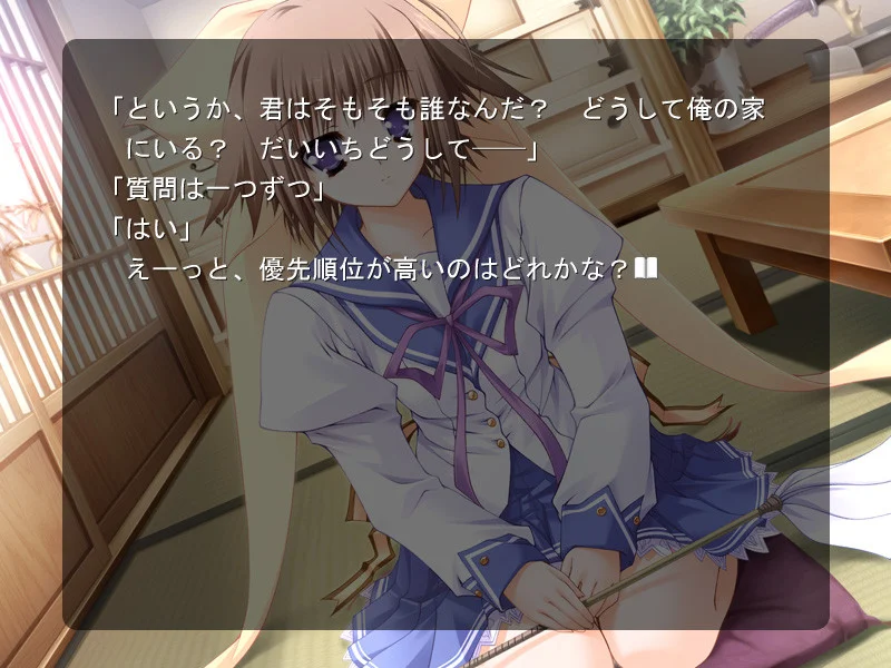 【PC/汉化】终有一日愿遂彼空（いつか、届く、あの空に。） 图片 1