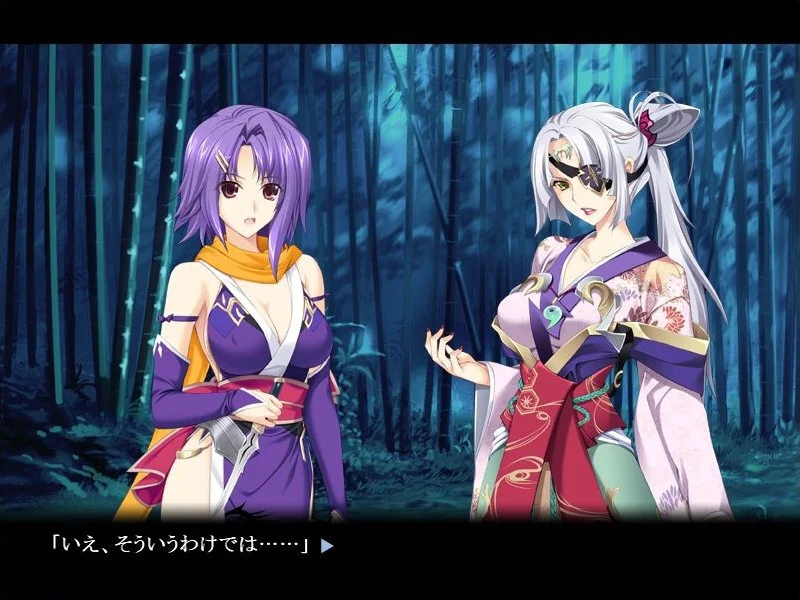 【PC/汉化】紫电~圆环之绊~(紫電~円環の絆~) 图片 9