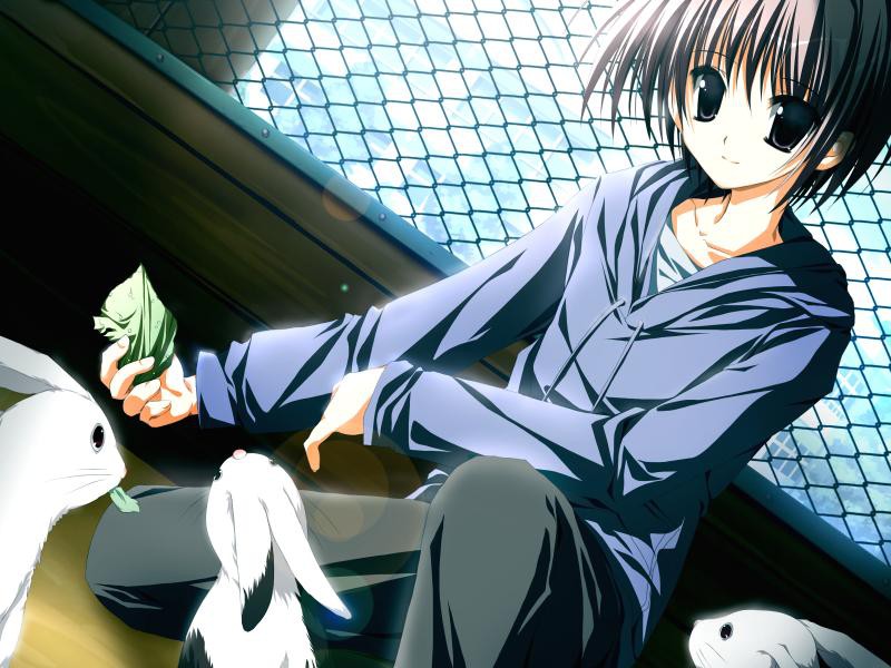 超极糖果~王道自有王道的理由~ / しゅぷれ~むキャンディ~王道には王道たる理由があるんです!插图1 超极糖果~王道自有王道的理由~ / しゅぷれ~むキャンディ~王道には王道たる理由があるんです!插图1