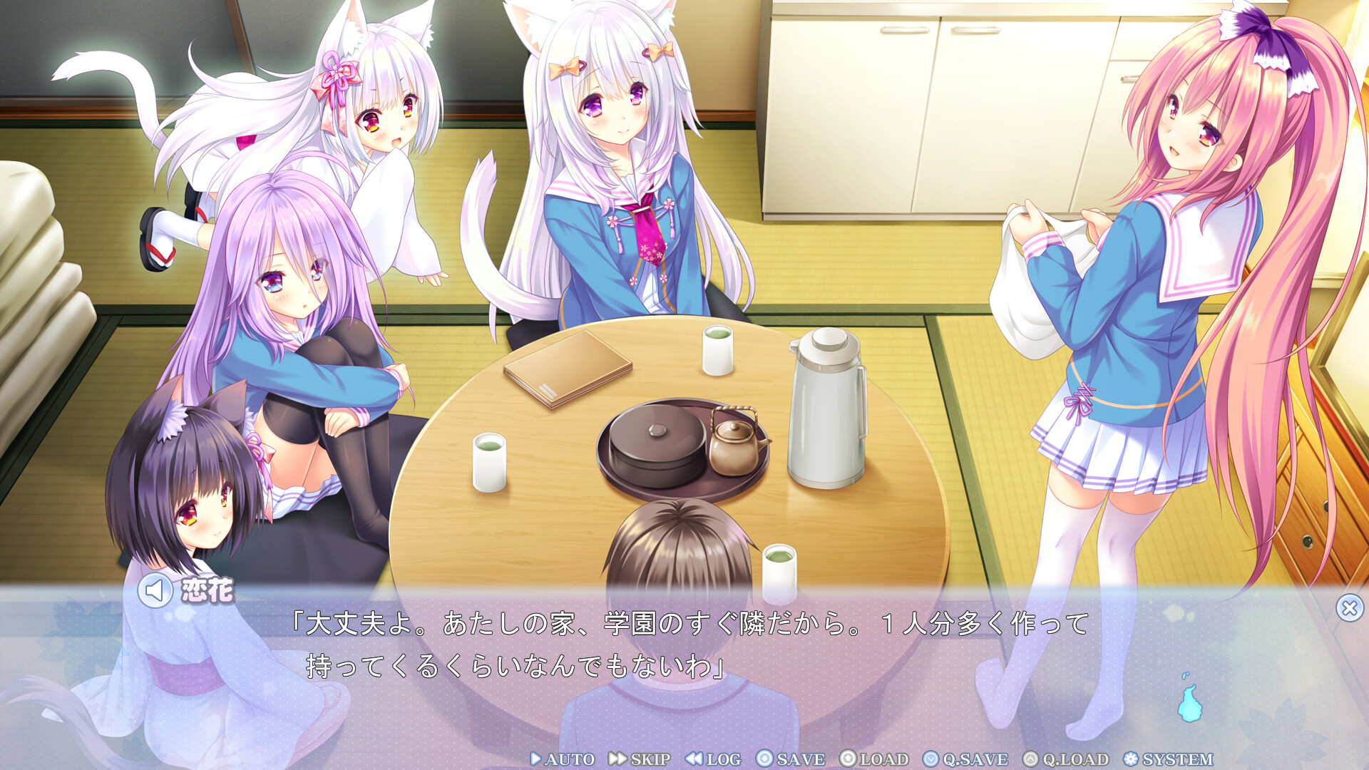 猫咪相随★恋樱纷飞 / ねこツク、さくら。插图1