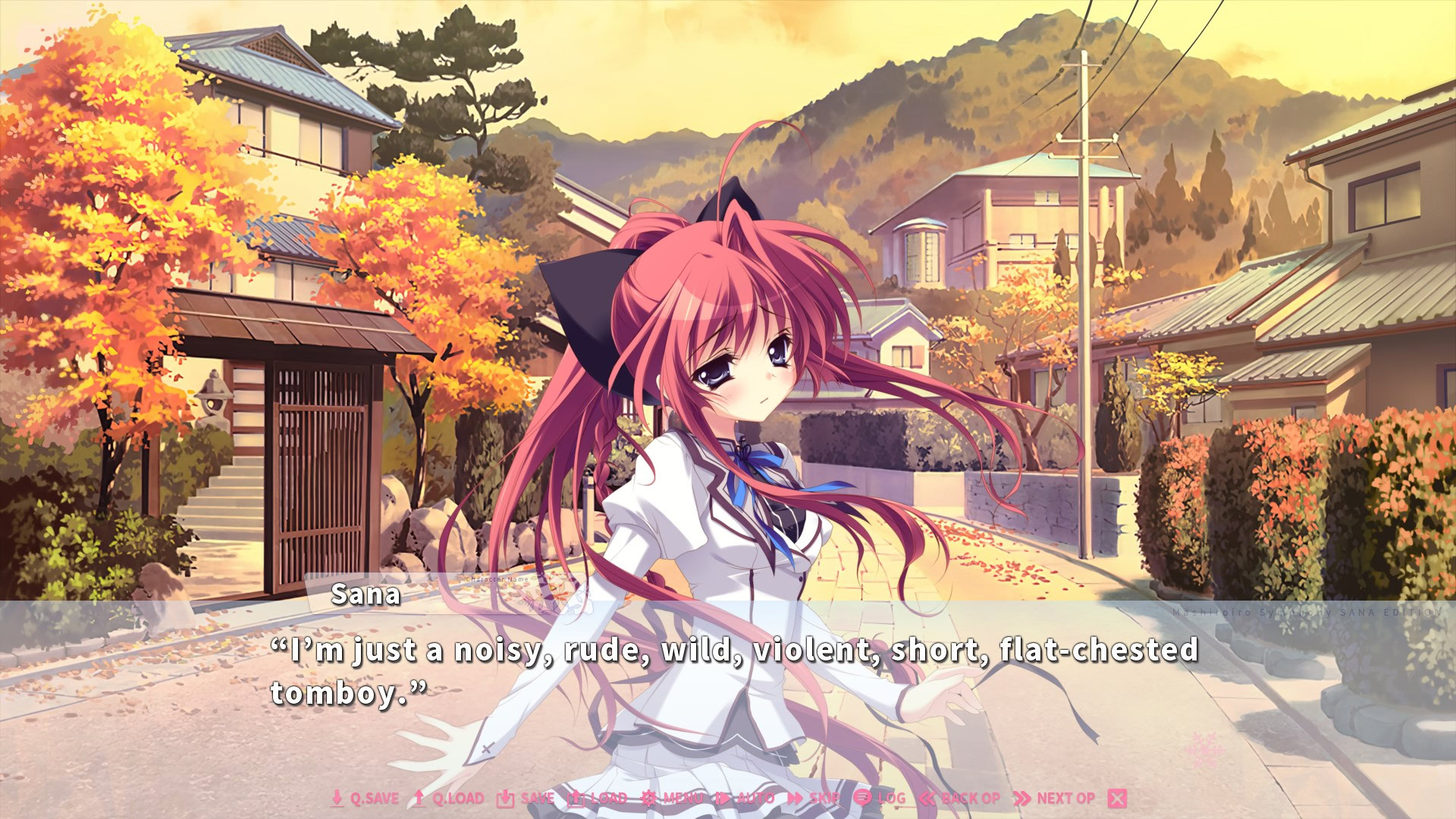 纯白交响曲 SANA EDITION / ましろ色シンフォニー SANA EDITION插图2