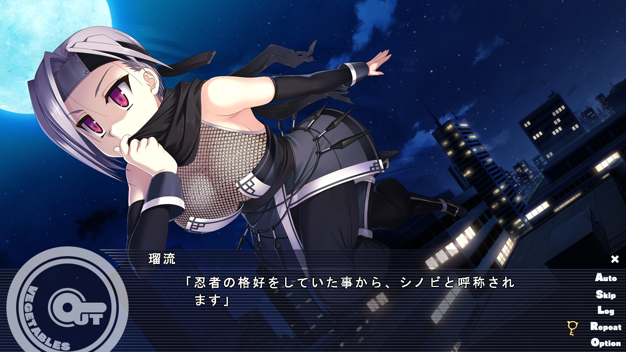 怪盗夜祭 / アウトベジタブルズ插图2