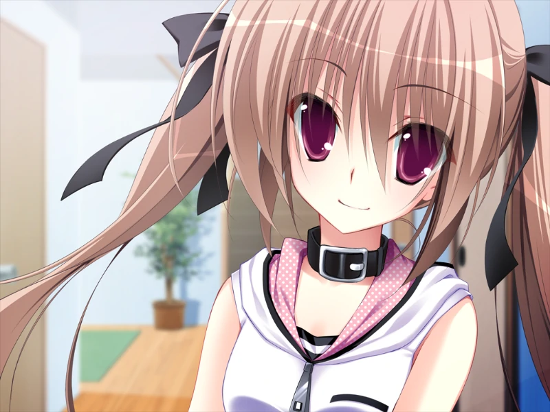 图片[4]-妹调教日记 / こんなツンデレが俺の妹なわけない-Angelmoe