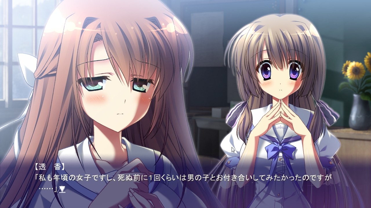 图片[3]-【ADV/汉化】夏空的英仙座 / 夏空のペルセウス 本体+全CG存档-Angelmoe