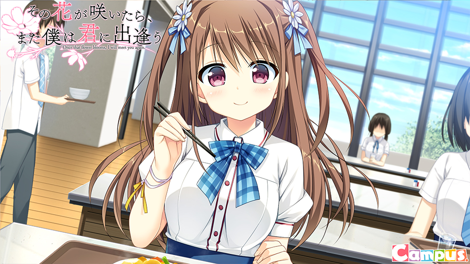 图片[2]-[PC/汉化]此花绽放季，与君重逢时 / その花が咲いたら、また僕は君に出逢う-Angelmoe