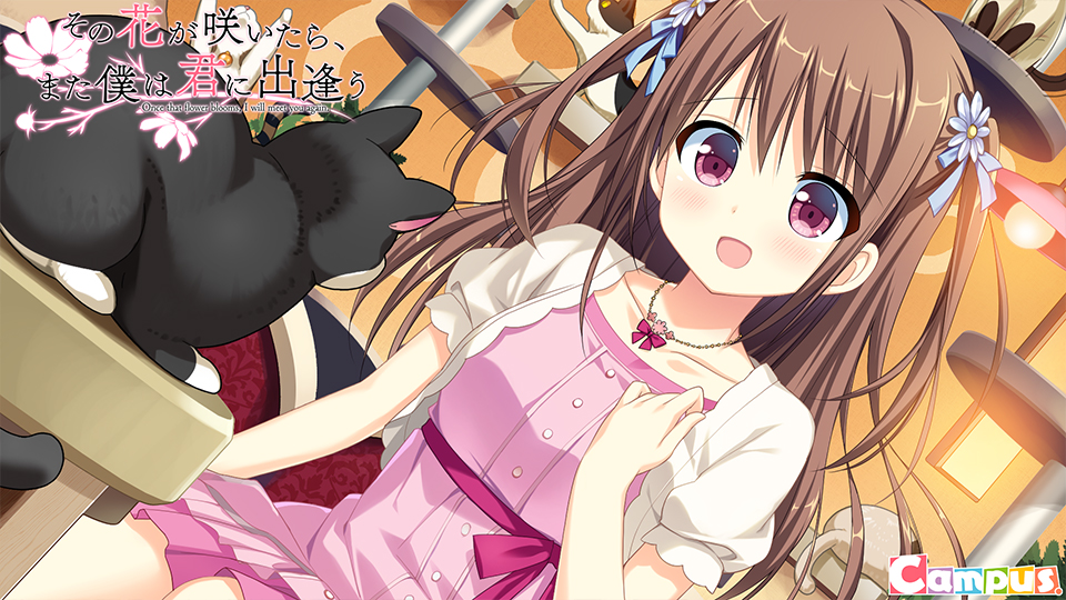 图片[4]-[PC/汉化]此花绽放季，与君重逢时 / その花が咲いたら、また僕は君に出逢う-Angelmoe