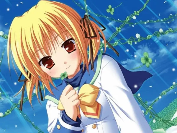 四叶奇迹 / Clover Point